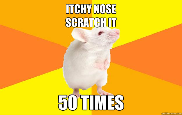 itchy nose
scratch it 50 times  