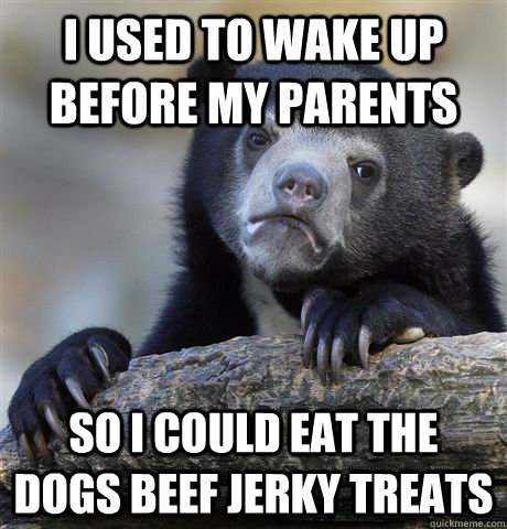 I used to wake up before my parents so i could eat the dogs beef jerky treats  Confession Bear