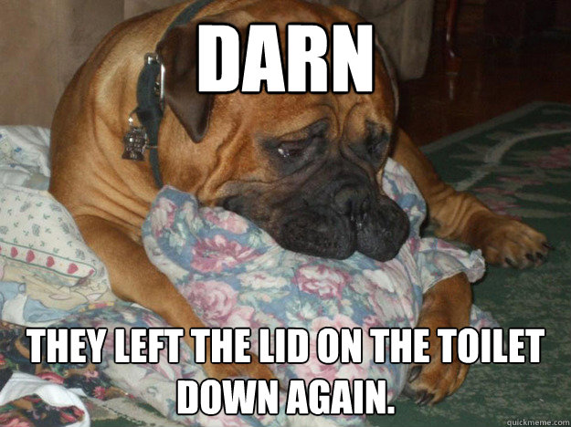 Darn They left the lid on the toilet down again. - Darn They left the lid on the toilet down again.  Sad Dog