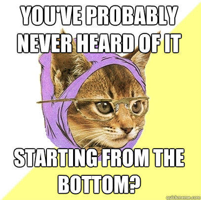 you've probably never heard of it starting from the bottom?  Hipster Kitty