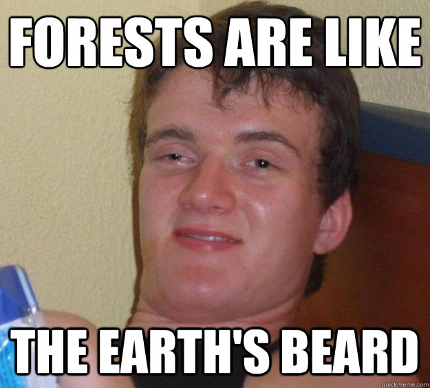 Forests are like
 the Earth's beard - Forests are like
 the Earth's beard  10 Guy