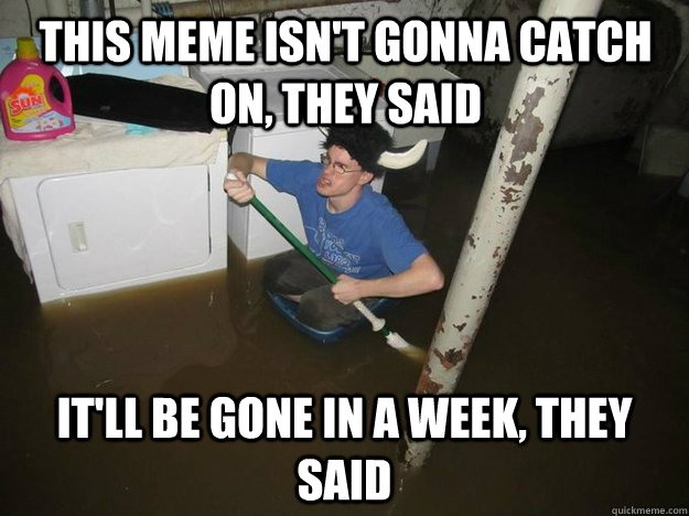 This meme isn't gonna catch on, they said it'll be gone in a week, they said  Do the laundry they said