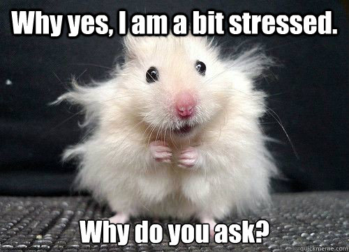 Why yes, I am a bit stressed. Why do you ask?   