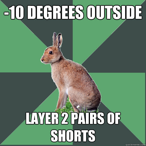 -10 degrees outside Layer 2 pairs of shorts - -10 degrees outside Layer 2 pairs of shorts  Harrier Hare