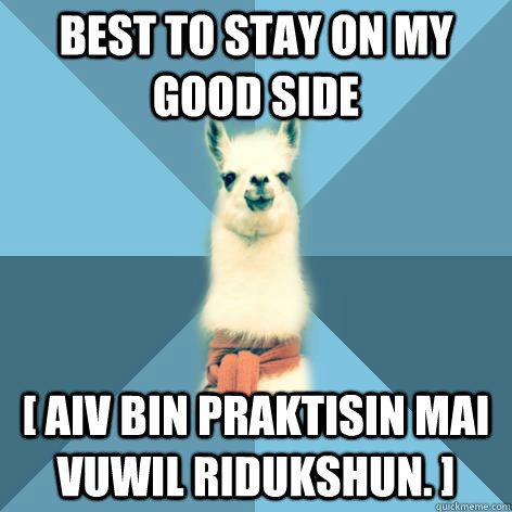 Best to stay on my good side [ Aiv bin praktisin mai vuwIl ridukshun. ]   Linguist Llama