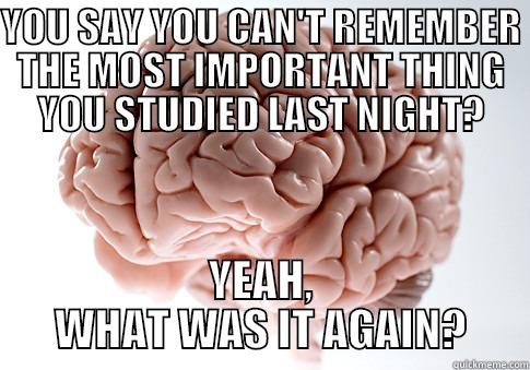 YOU SAY YOU CAN'T REMEMBER THE MOST IMPORTANT THING YOU STUDIED LAST NIGHT? YEAH, WHAT WAS IT AGAIN? Scumbag Brain