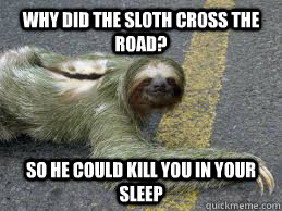 Why Did the sloth cross the road? So he could kill you in your sleep  Creepy Sloth