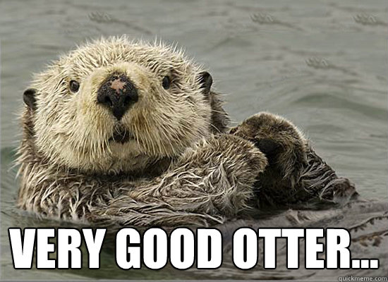  very good otter...  Good otter