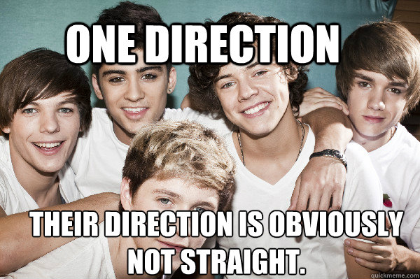 One Direction Their Direction is obviously not straight.  