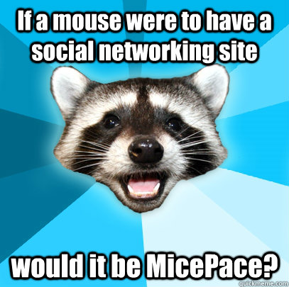If a mouse were to have a social networking site would it be MicePace?  Lame Pun Coon