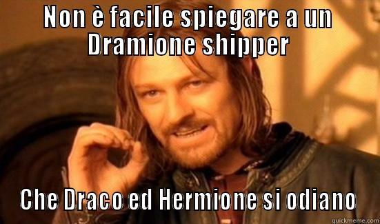 NON È FACILE SPIEGARE A UN DRAMIONE SHIPPER CHE DRACO ED HERMIONE SI ODIANO Boromir