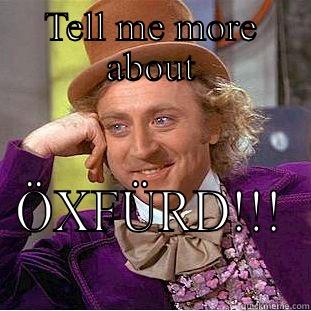 TELL ME MORE ABOUT ÖXFÜRD!!! Condescending Wonka