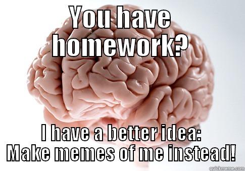 YOU HAVE HOMEWORK? I HAVE A BETTER IDEA: MAKE MEMES OF ME INSTEAD! Scumbag Brain