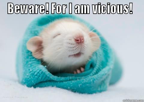 Vicious killer rat - BEWARE! FOR I AM VICIOUS!   Misc