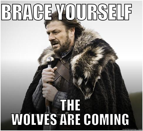 BRACE YOURSELF    THE WOLVES ARE COMING Misc