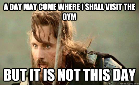 A day may come where i shall visit the gym but it is not this day  Aragorn