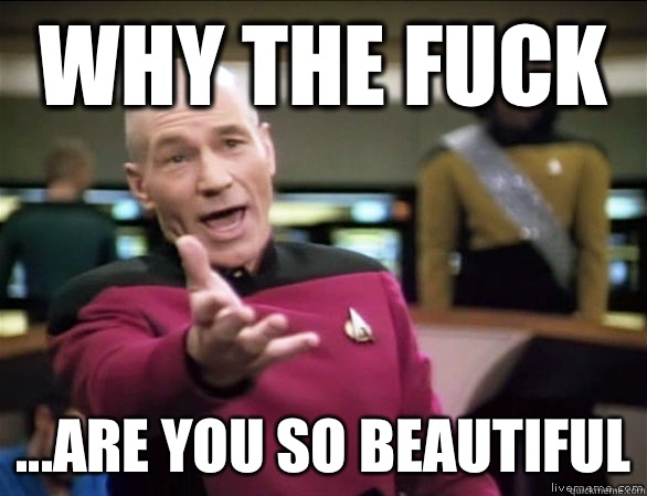 why the fuck ...are you so beautiful  Annoyed Picard HD