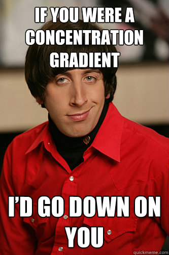 If you were a concentration gradient I’d go down on you  Howard Wolowitz