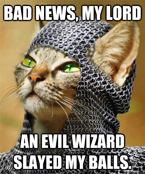 Bad news, my lord An evil wizard slayed my balls.  