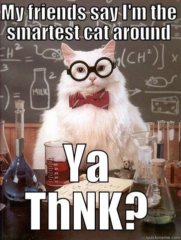how bout that! - MY FRIENDS SAY I'M THE SMARTEST CAT AROUND YA THNK? Chemistry Cat
