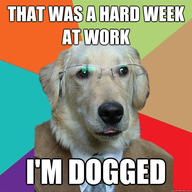 that was a hard week at work i'm dogged  Business Dog