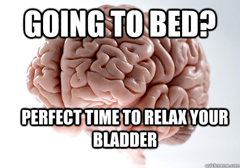 Going to bed? Perfect time to relax your bladder  Scumbag Brain