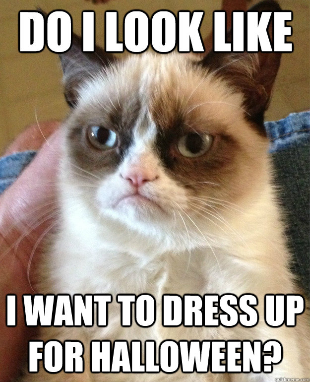 Do I look like I want to dress up for halloween?  Grumpy Cat
