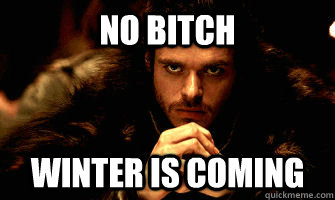 No Bitch Winter is Coming - No Bitch Winter is Coming  Robb Stark