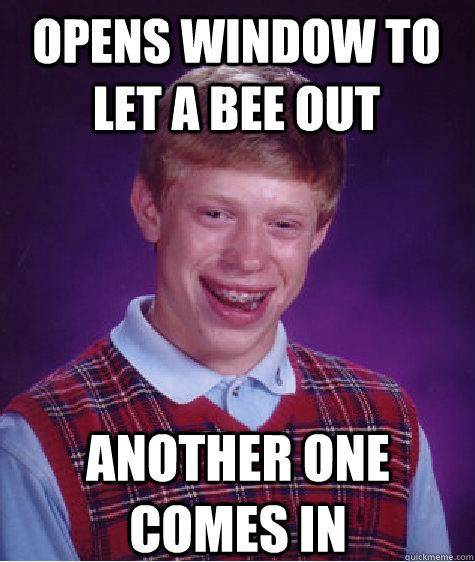 Opens window to let a bee out Another one comes in  Bad Luck Brian
