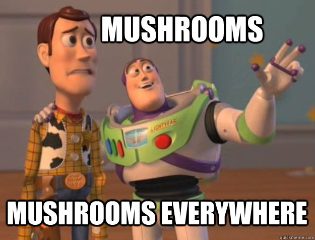 Mushrooms Mushrooms everywhere  Buzz Lightyear