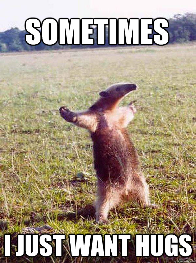 Sometimes I just want hugs  anteater