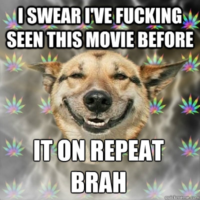 I swear I've fucking seen this movie before it on repeat brah  Stoner Dog