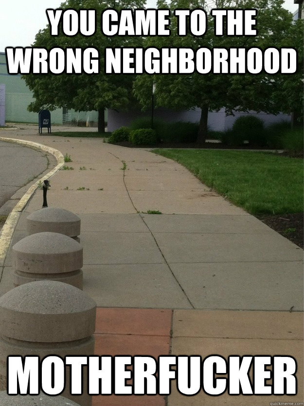 You came to the wrong neighborhood Motherfucker  Wrong Neighborhood Goose