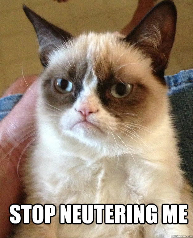  stop neutering me -  stop neutering me  Grumpy Cat