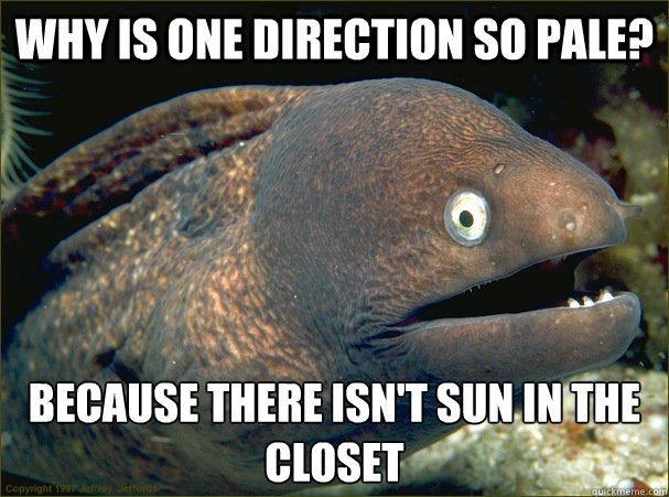 Why is one direction so pale? because there isn't sun in the closet  Bad Joke Eel