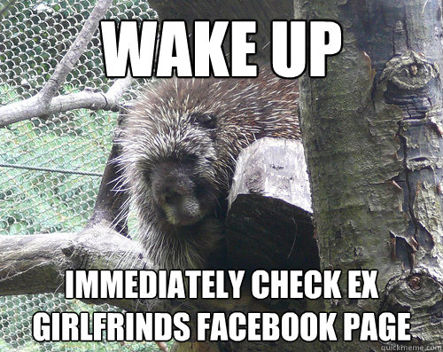 WAKE UP IMMEDIATELY CHECK EX GIRLFRINDS FACEBOOK PAGE  Post break up porcupine