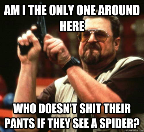 Am I the only one around here who doesn't shit their pants if they see a spider?  Am I The Only One Around Here