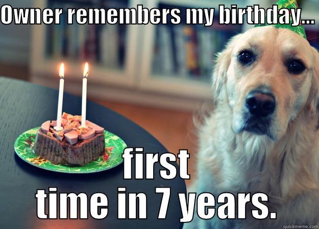 Birthday Dog Gets a Party! - OWNER REMEMBERS MY BIRTHDAY... FIRST TIME IN 7 YEARS. Sad Birthday Dog