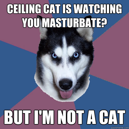 ceiling cat is watching you masturbate? but i'm not a cat - ceiling cat is watching you masturbate? but i'm not a cat  Creeper Canine