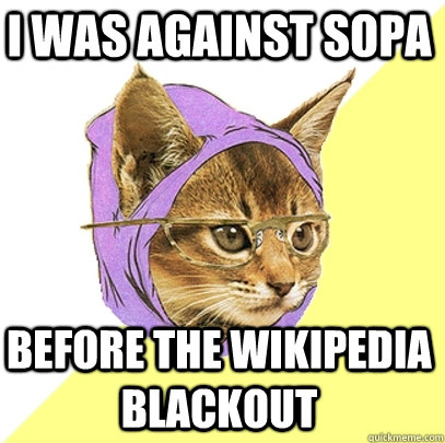 I was against sopa before the wikipedia blackout  Hipster Kitty