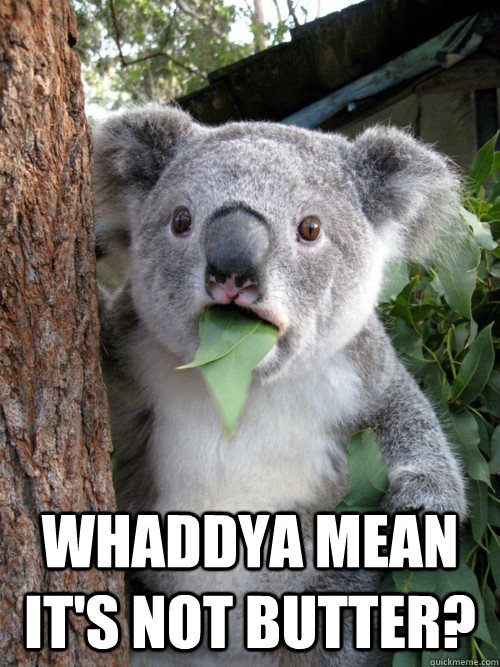 Whaddya mean it's not butter?  koala bear