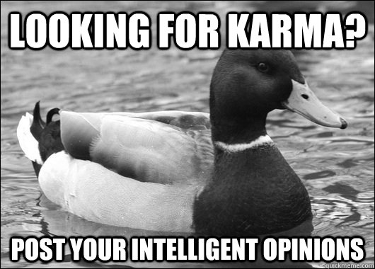 Looking for karma? Post your intelligent opinions  Ambiguous Advice Mallard