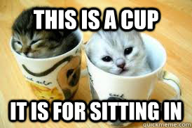 this is a cup it is for sitting in - this is a cup it is for sitting in  Kittens