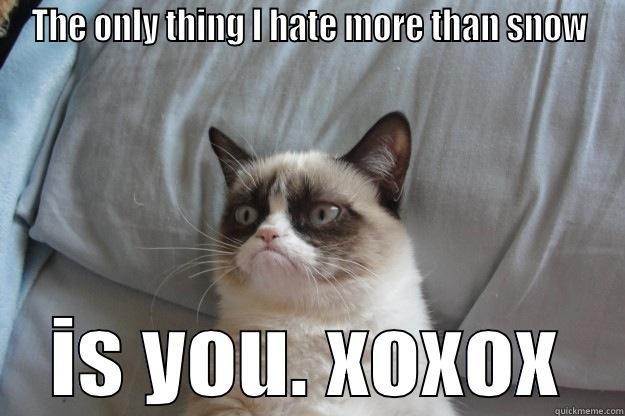 THE ONLY THING I HATE MORE THAN SNOW IS YOU. XOXOX Grumpy Cat