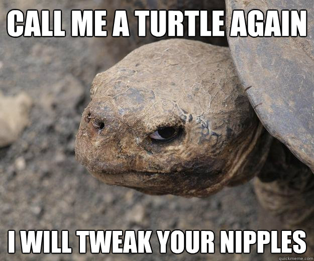 Call me a turtle again I will tweak your nipples  