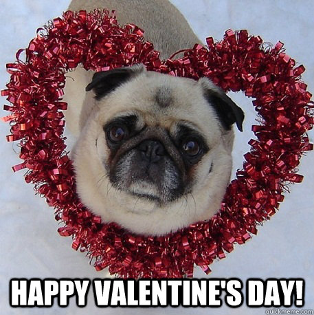  Happy Valentine's Day! -  Happy Valentine's Day!  Pug Valentine