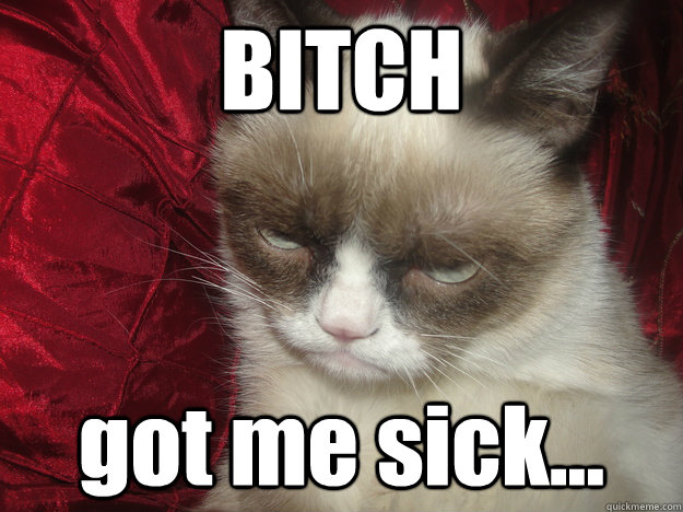 BITCH got me sick... - BITCH got me sick...  Are You Kidding Grumpy Cat