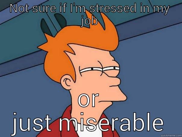 NOT SURE IF I'M STRESSED IN MY JOB OR JUST MISERABLE Futurama Fry