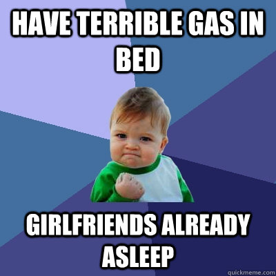 Have terrible gas in bed  girlfriends already asleep  Success Kid