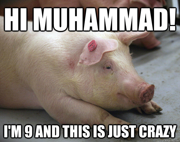 Hi Muhammad! I'm 9 and this is just crazy - Hi Muhammad! I'm 9 and this is just crazy  Optimistic Piggy